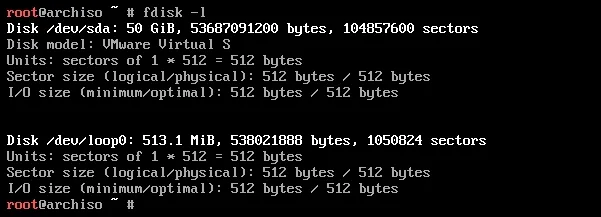 fdisk -l output showing disk partitions
