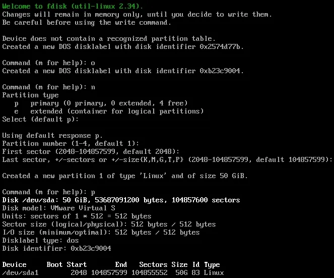fdisk showing newly created partition